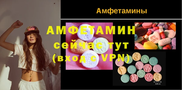 стаф Гусь-Хрустальный