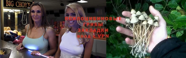 MESCALINE Гусиноозёрск