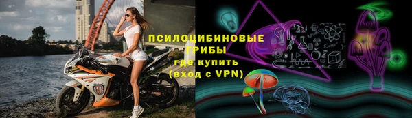 стаф Гусь-Хрустальный