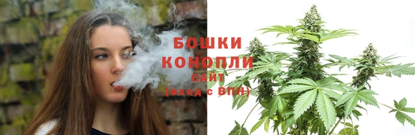 стаф Гусь-Хрустальный