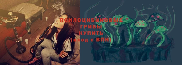 стаф Гусь-Хрустальный