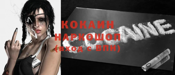 стаф Гусь-Хрустальный