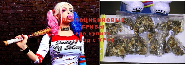 стаф Гусь-Хрустальный