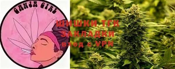 ECSTASY Гусев