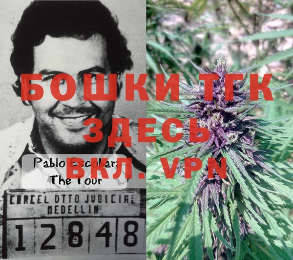 MESCALINE Гусиноозёрск