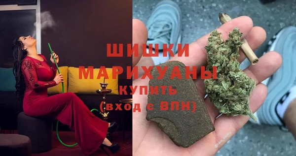 стаф Гусь-Хрустальный