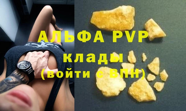 ECSTASY Гусев