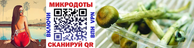 Псилоцибиновые грибы Cubensis  Обь 